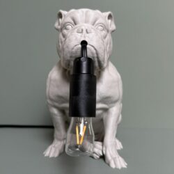 Engelse Bulldog 3