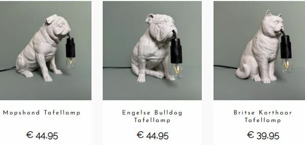 Nieuwe producten in de Webshop